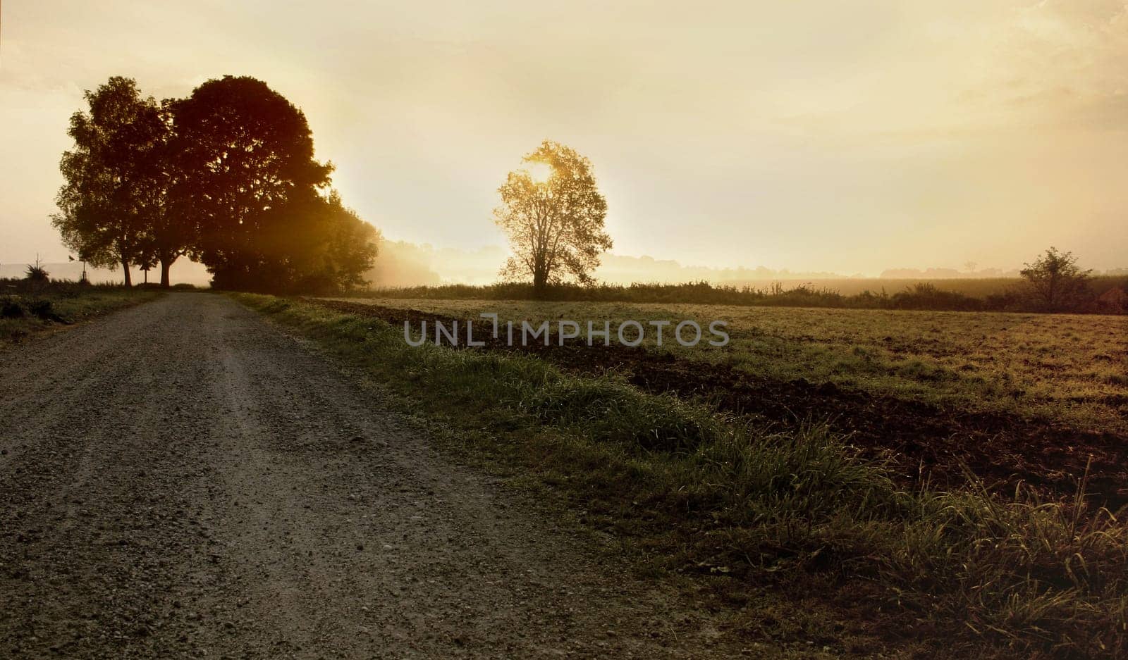 Walking on old paths