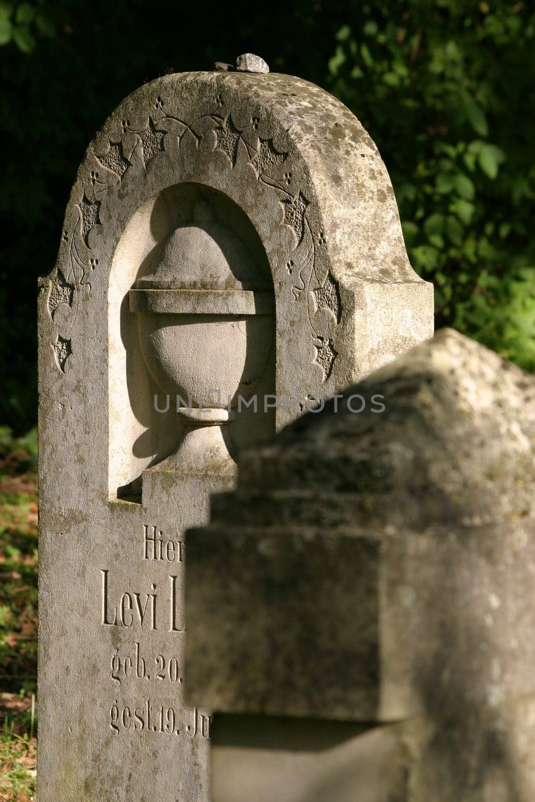 Jewish Cemetery 1