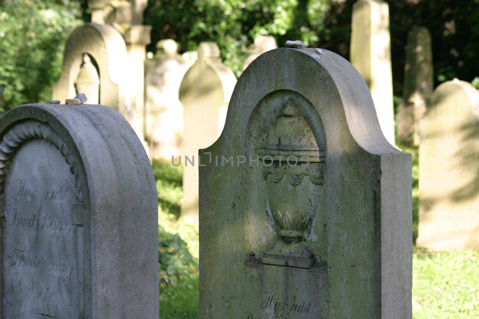 Jewish Cemetery 3