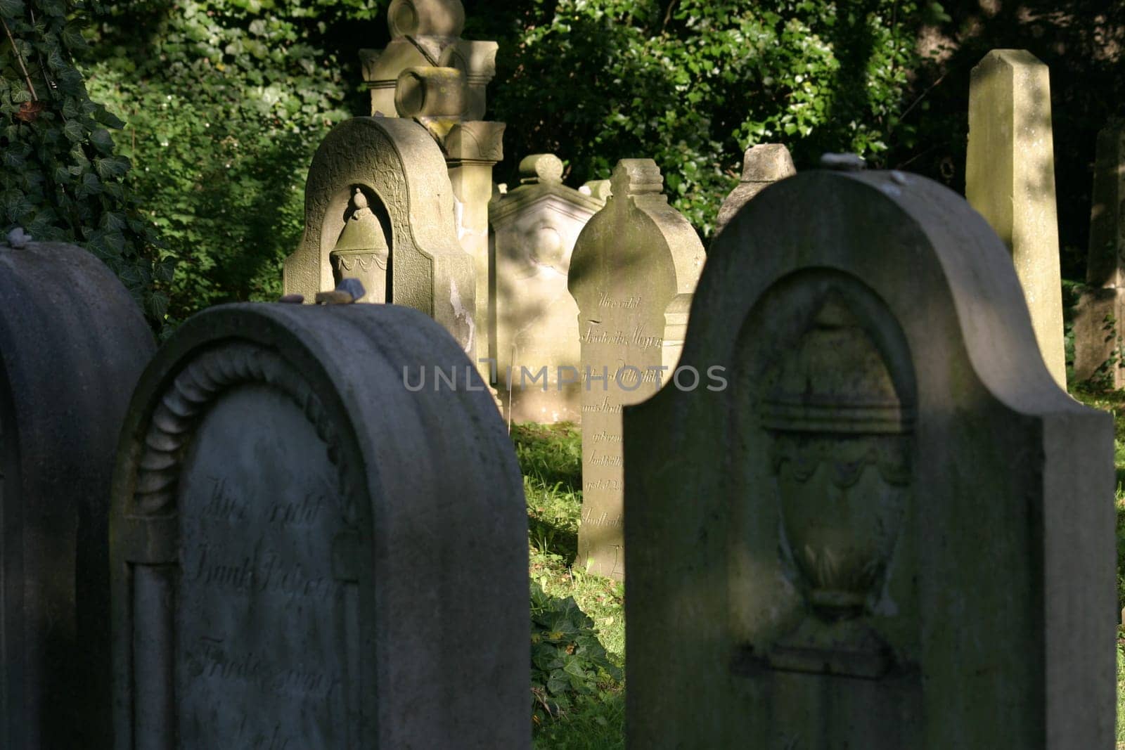 Jewish Cemetery 4