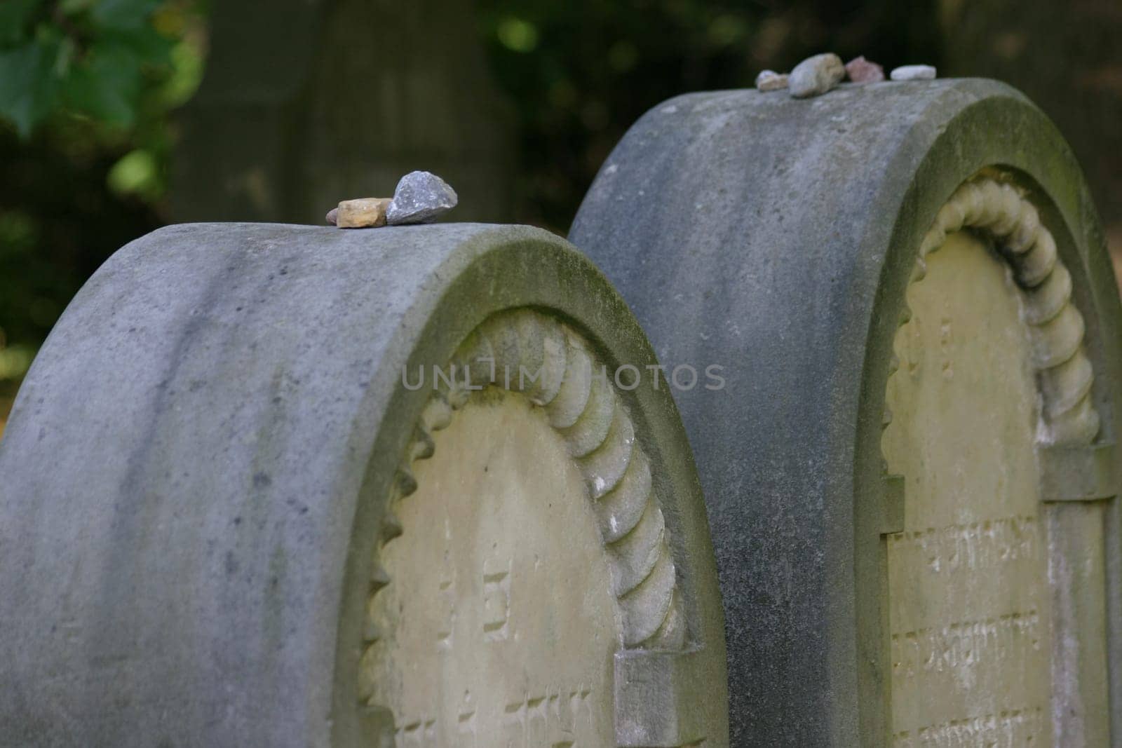 Jewish Cemetery 5