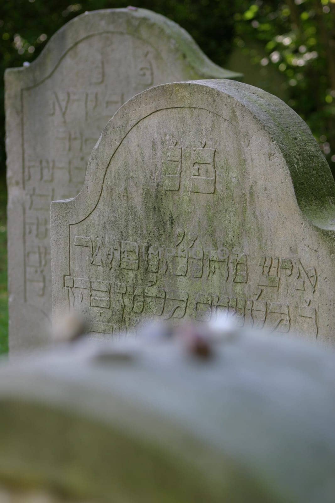 Jewish Cemetery 7