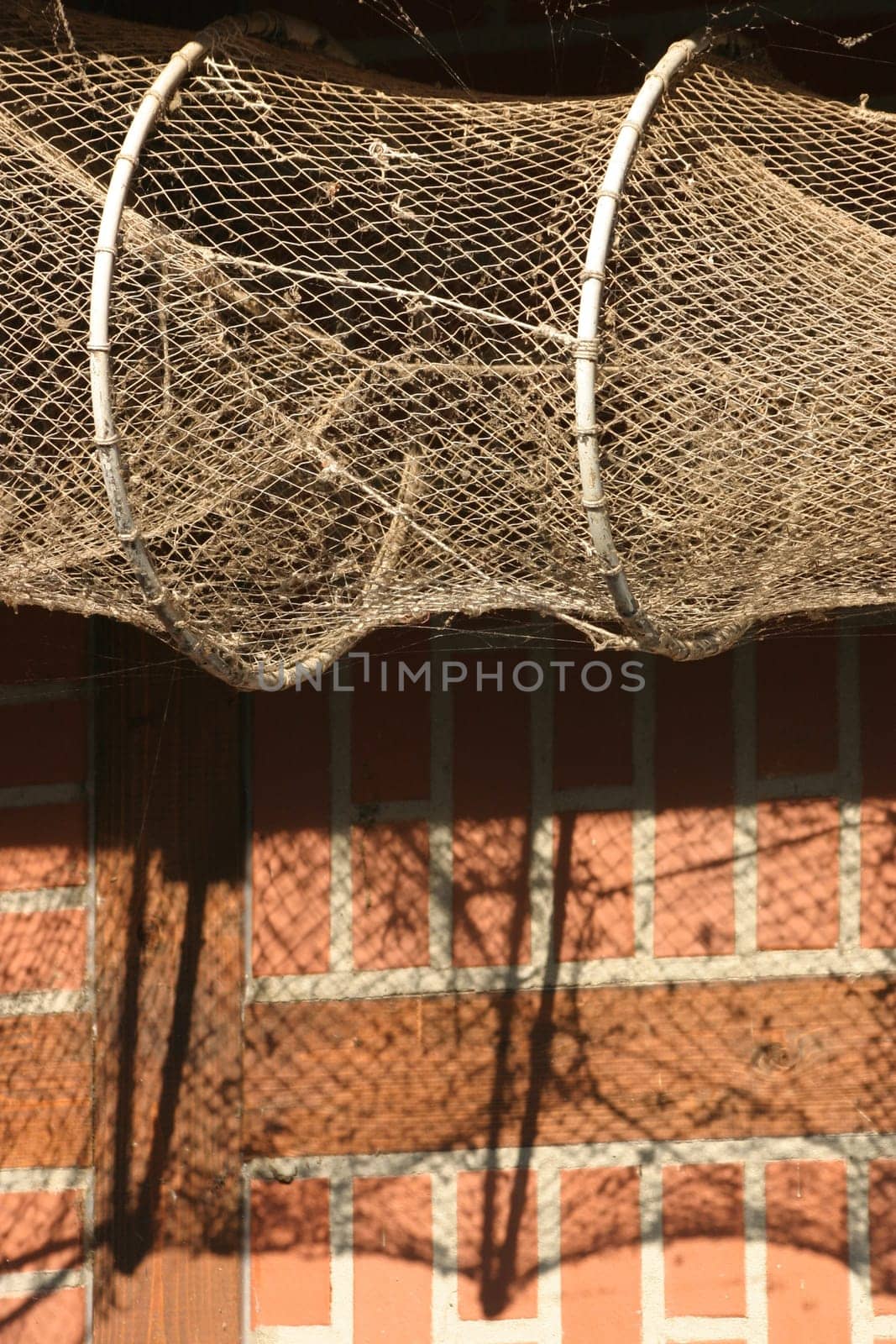 Fish trap