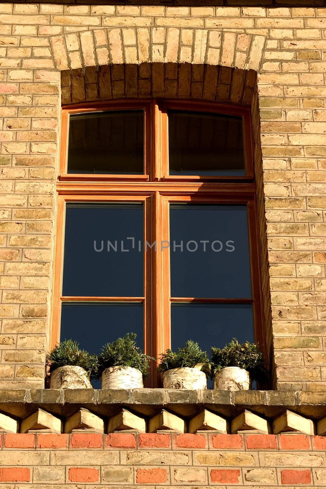 Windows 05