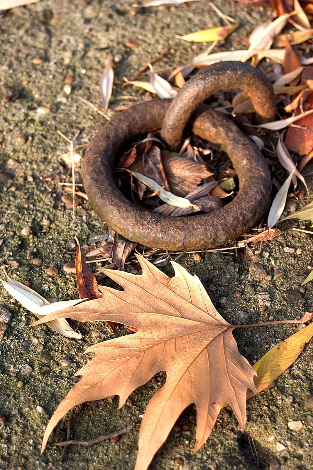 Mooring line 03