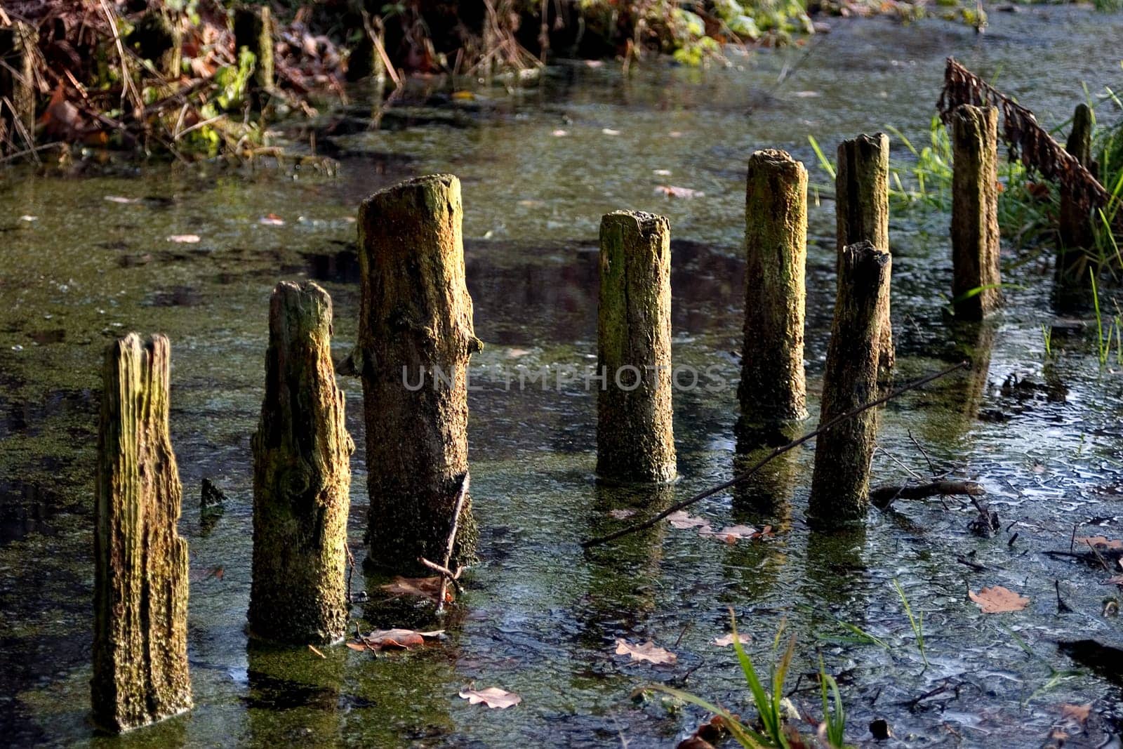 Piles 02
