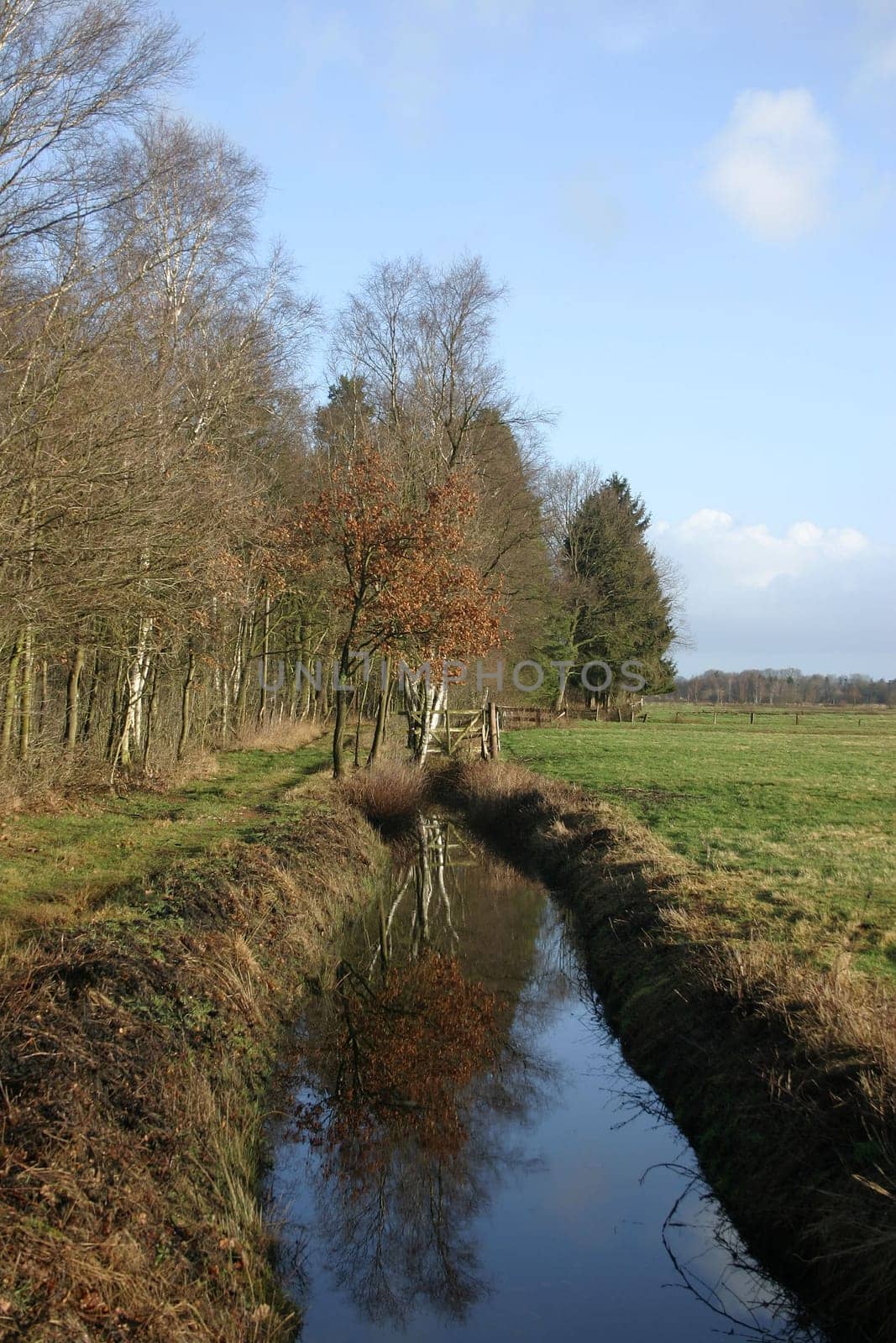 Small stream