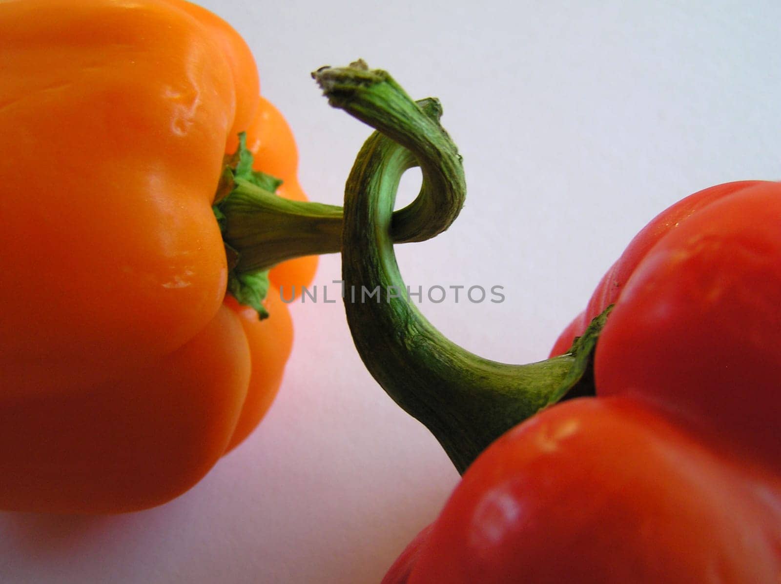 Paprika