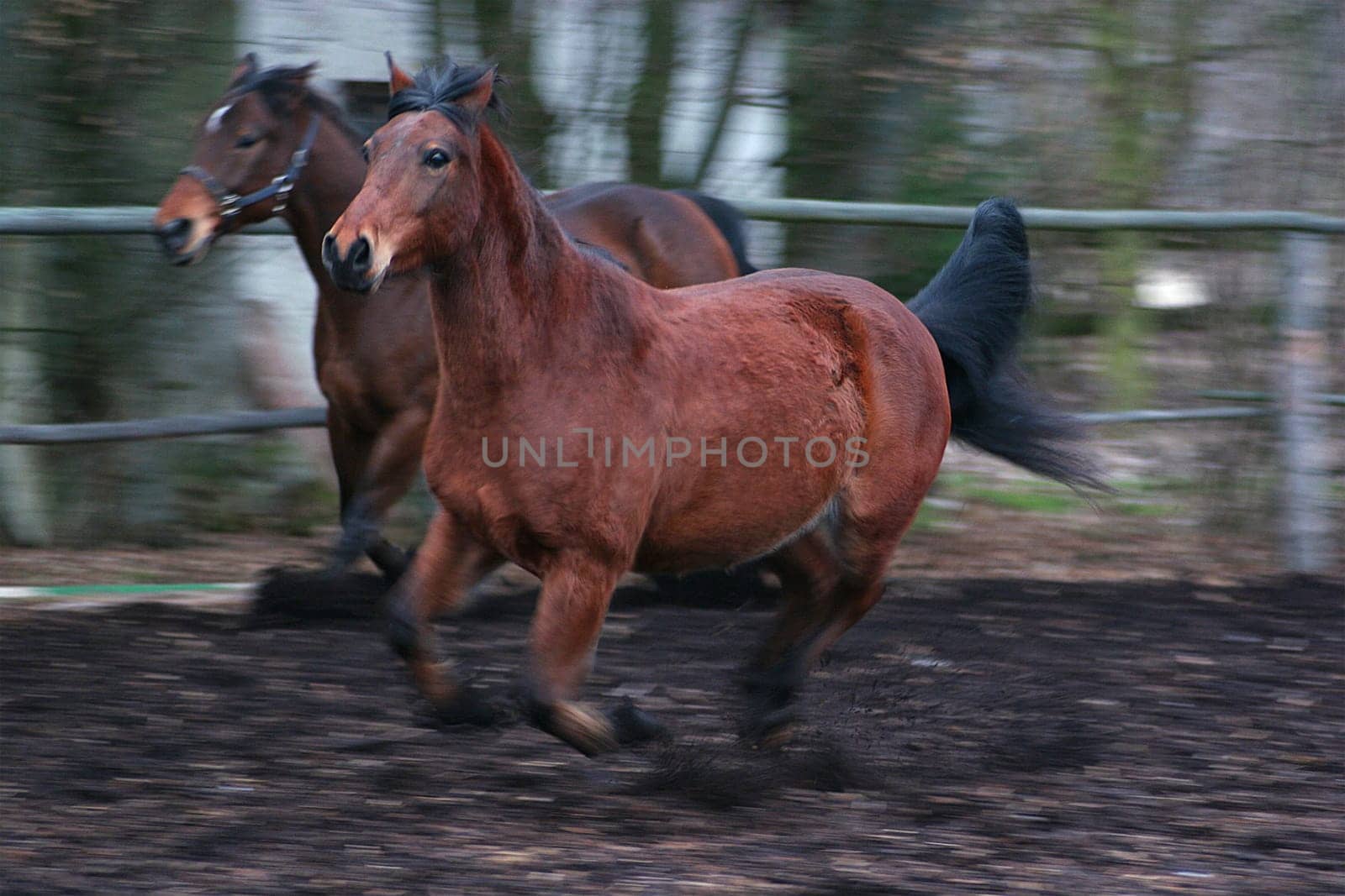 Woe betide them if they are let go -)) Quali is not particularly not a good light anymore