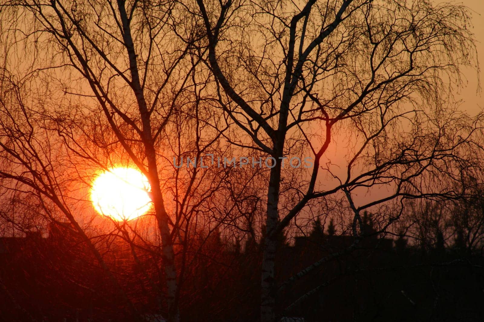 Sunset in the city