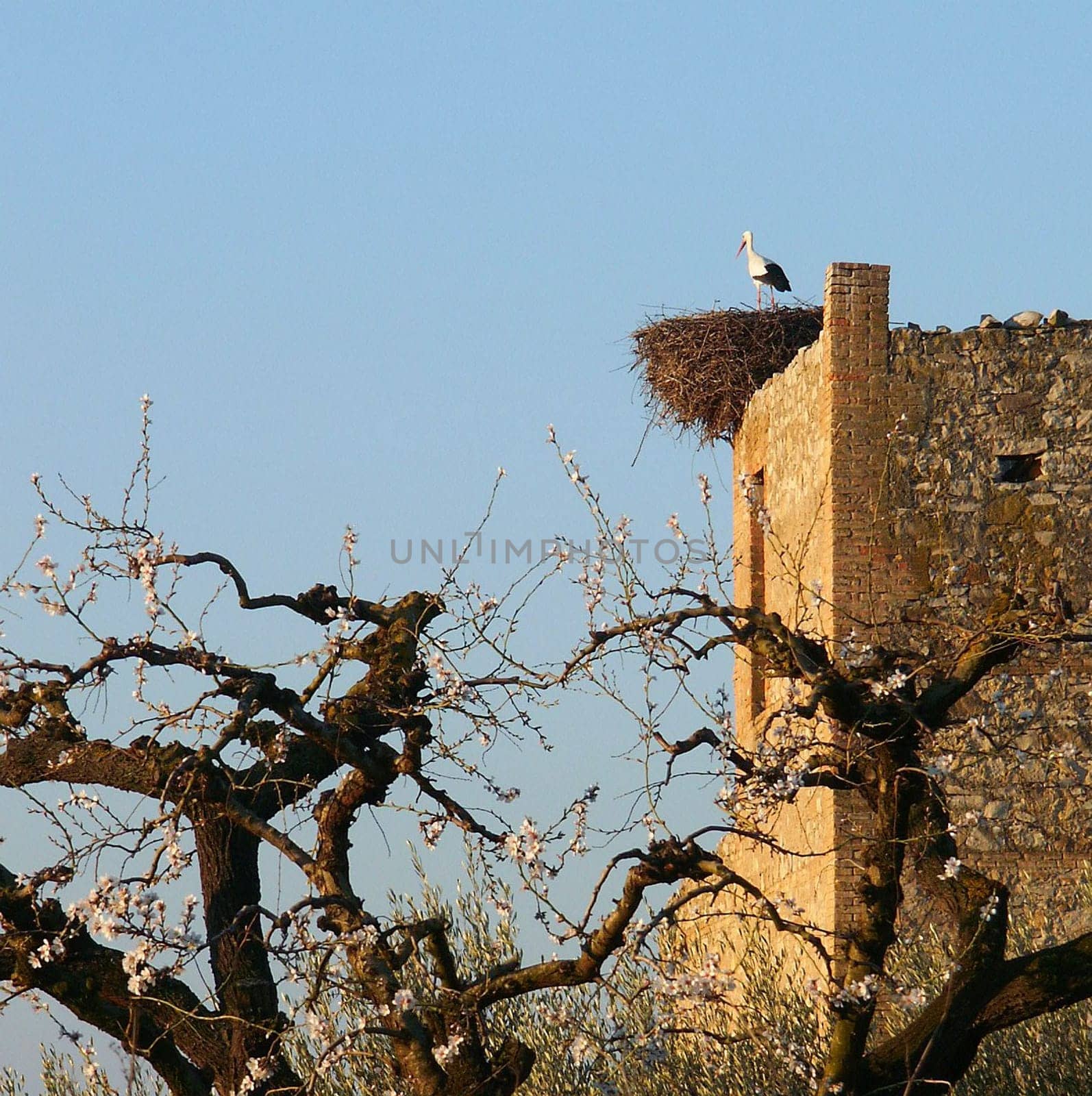 Created in February 2005 near Lerida,Spain. Minolta Dimage 7i