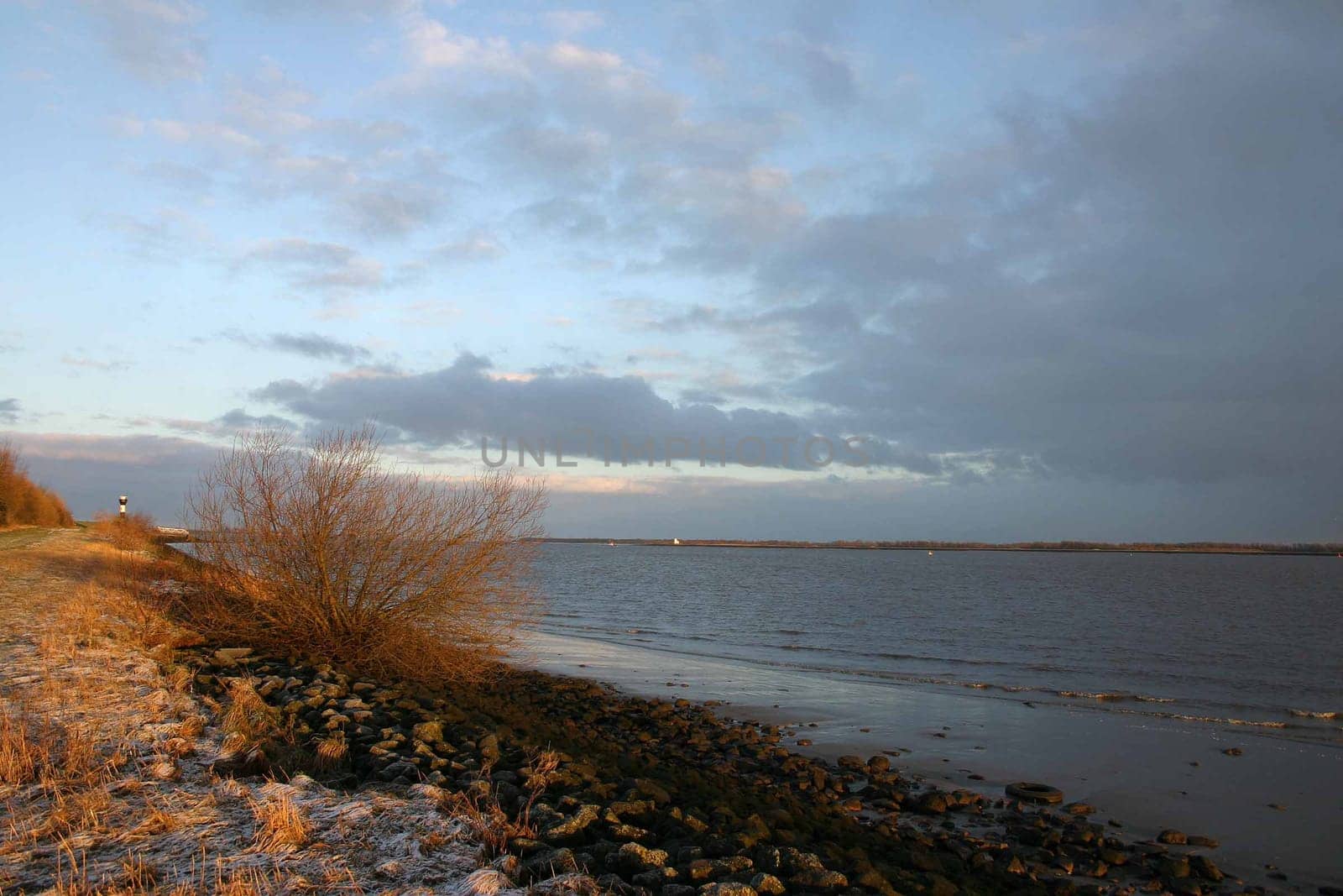 In the morning on the Elbe