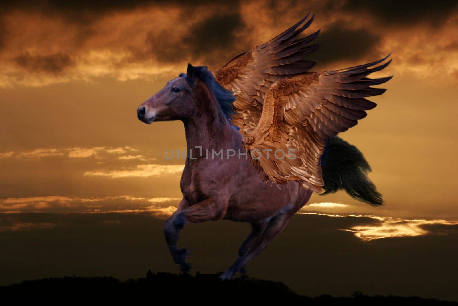 After the unicorn,Pegasus is not to be missed