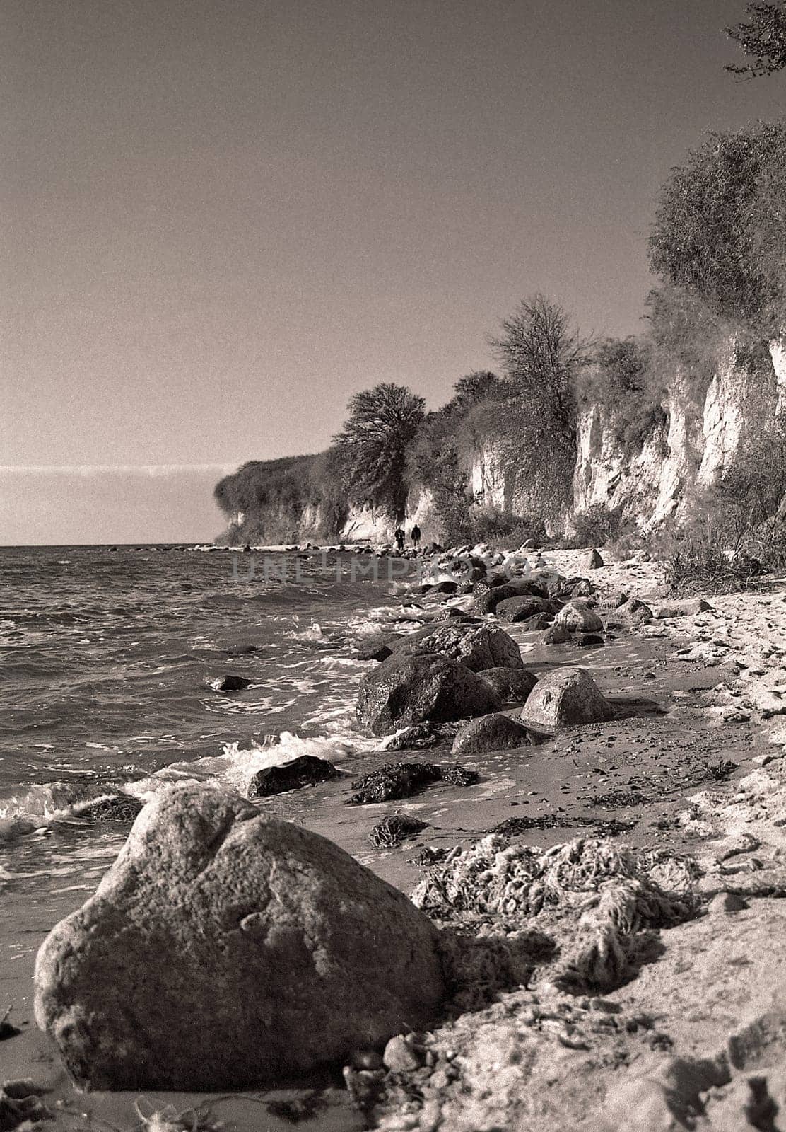 at the Bay of Greifswald IV