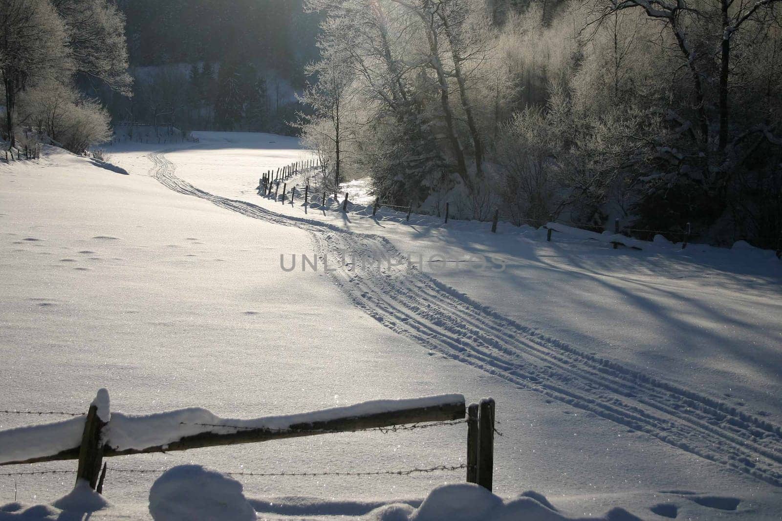 A cold winter morning