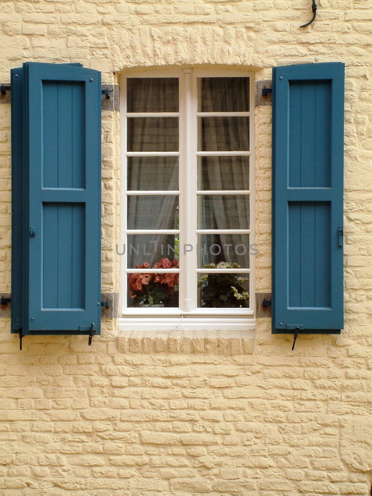 Window