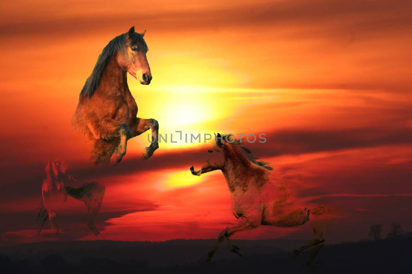 Become one with the sunrise