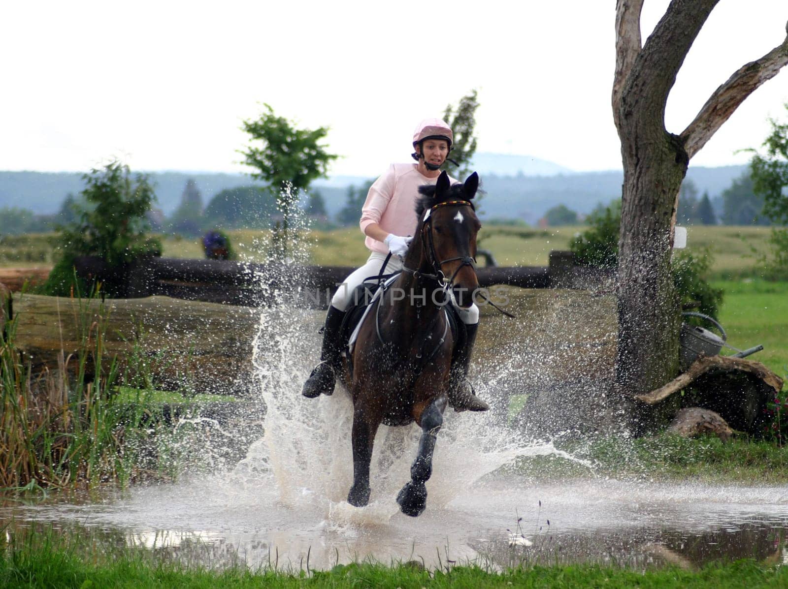 Since there is so great photo weather at the moment -(,I looked through my archive and found what I was looking for. Final results in 2004 at the Hessian Championship Versatility. CIC*