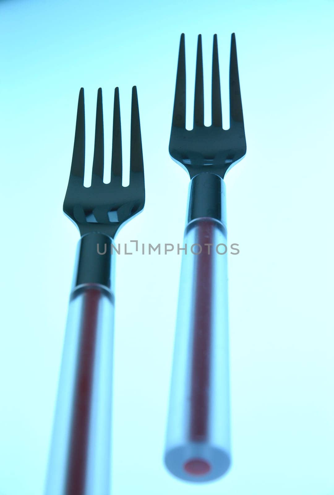 Two forks 2