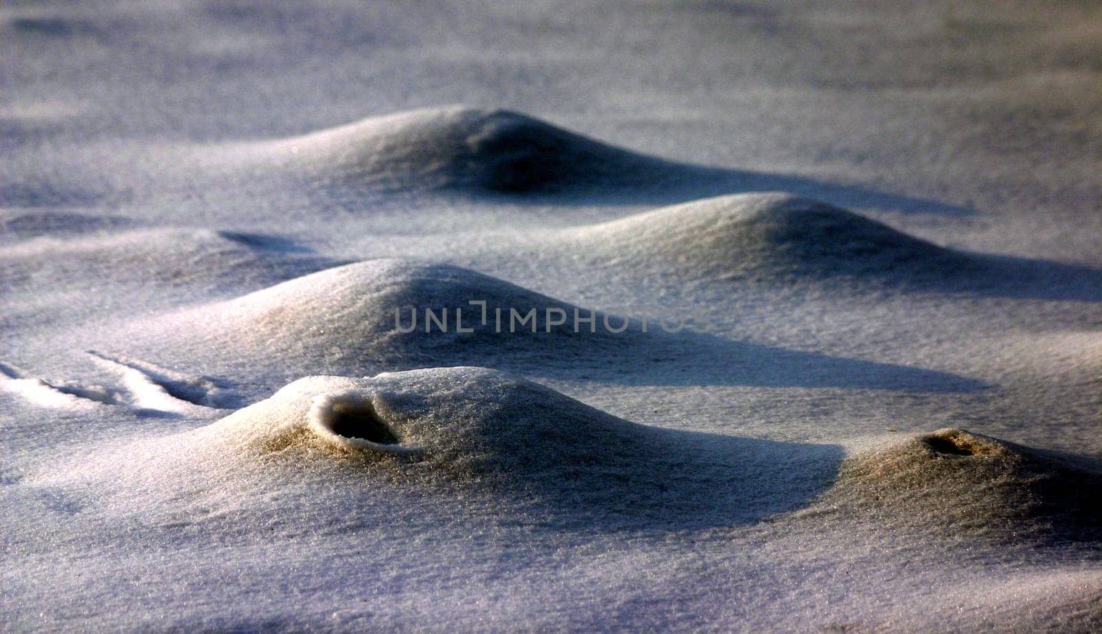 Ice Moon II