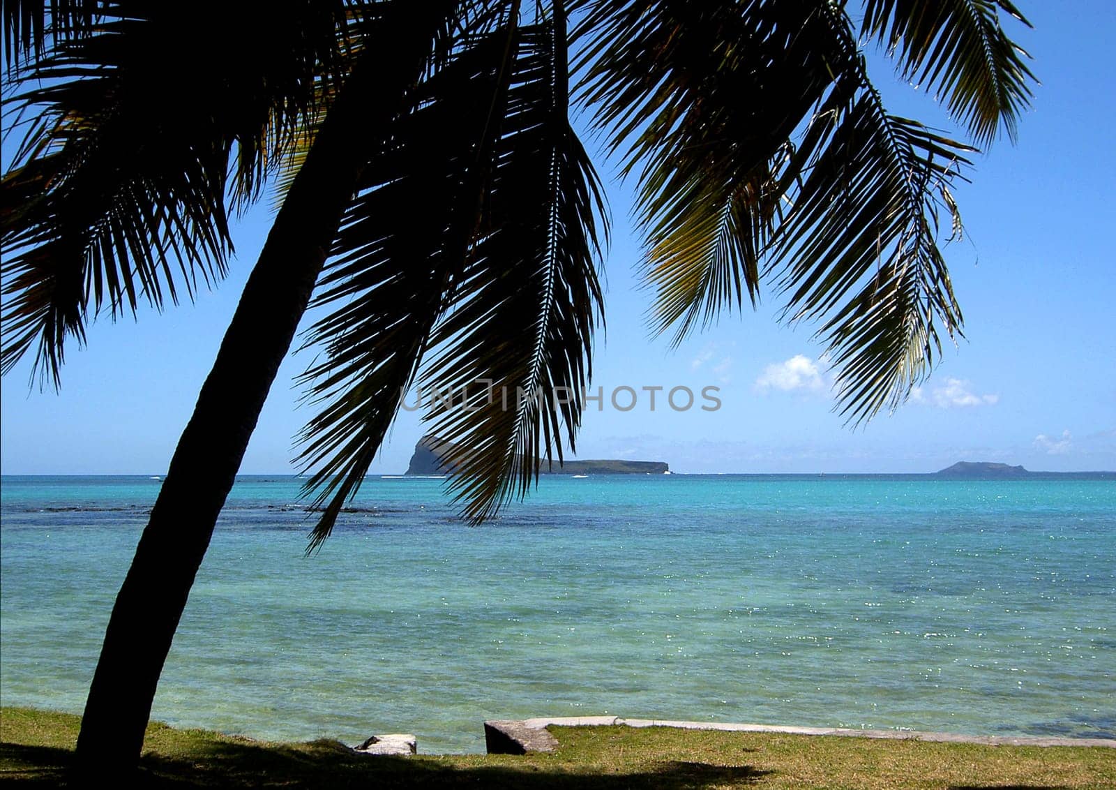 In the north of Mauritius