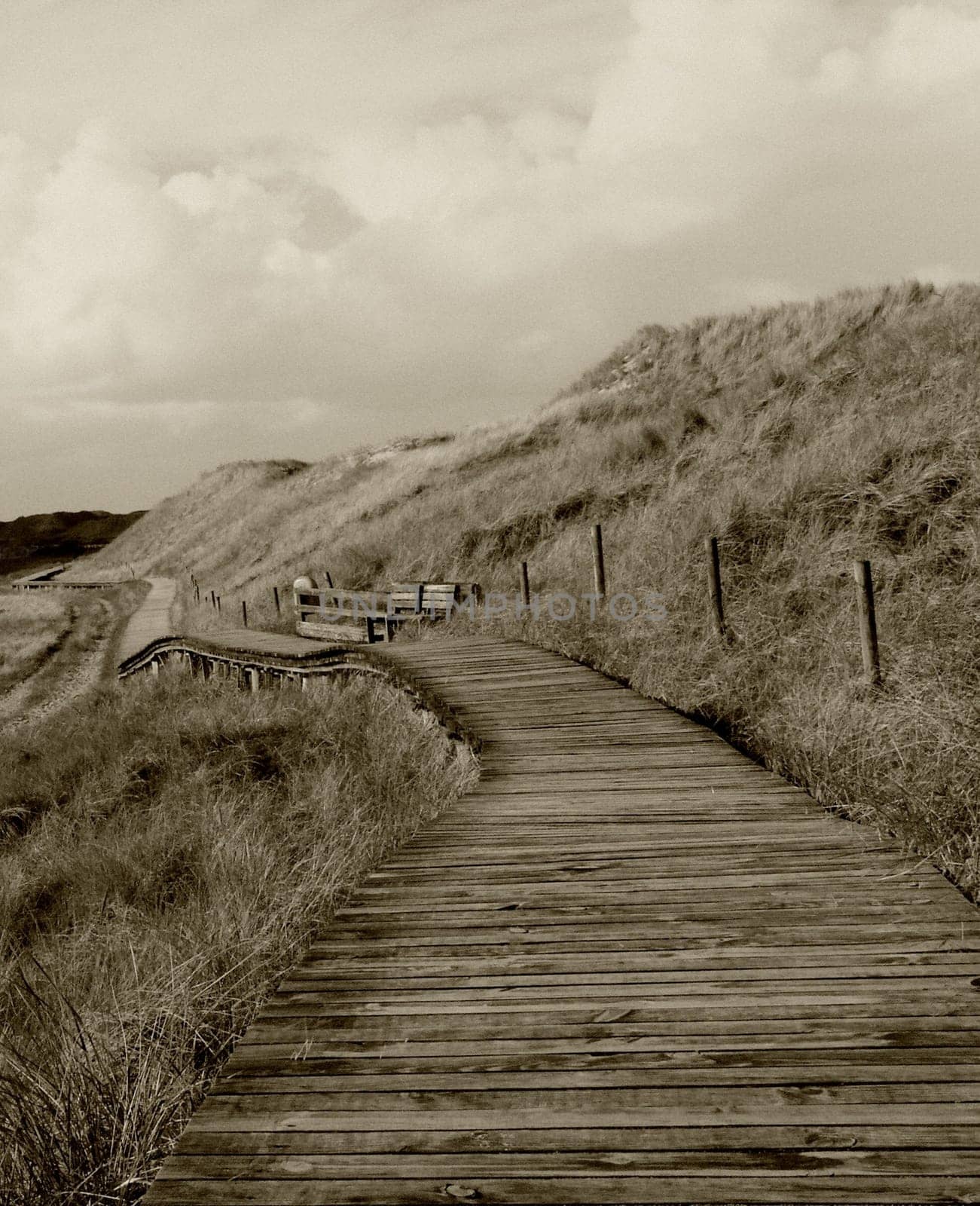 If someone wants to totally switch off for a weekend,just eat,sleep and go for a walk and just enjoy the peace and relax,then I can warmly recommend Amrum ...