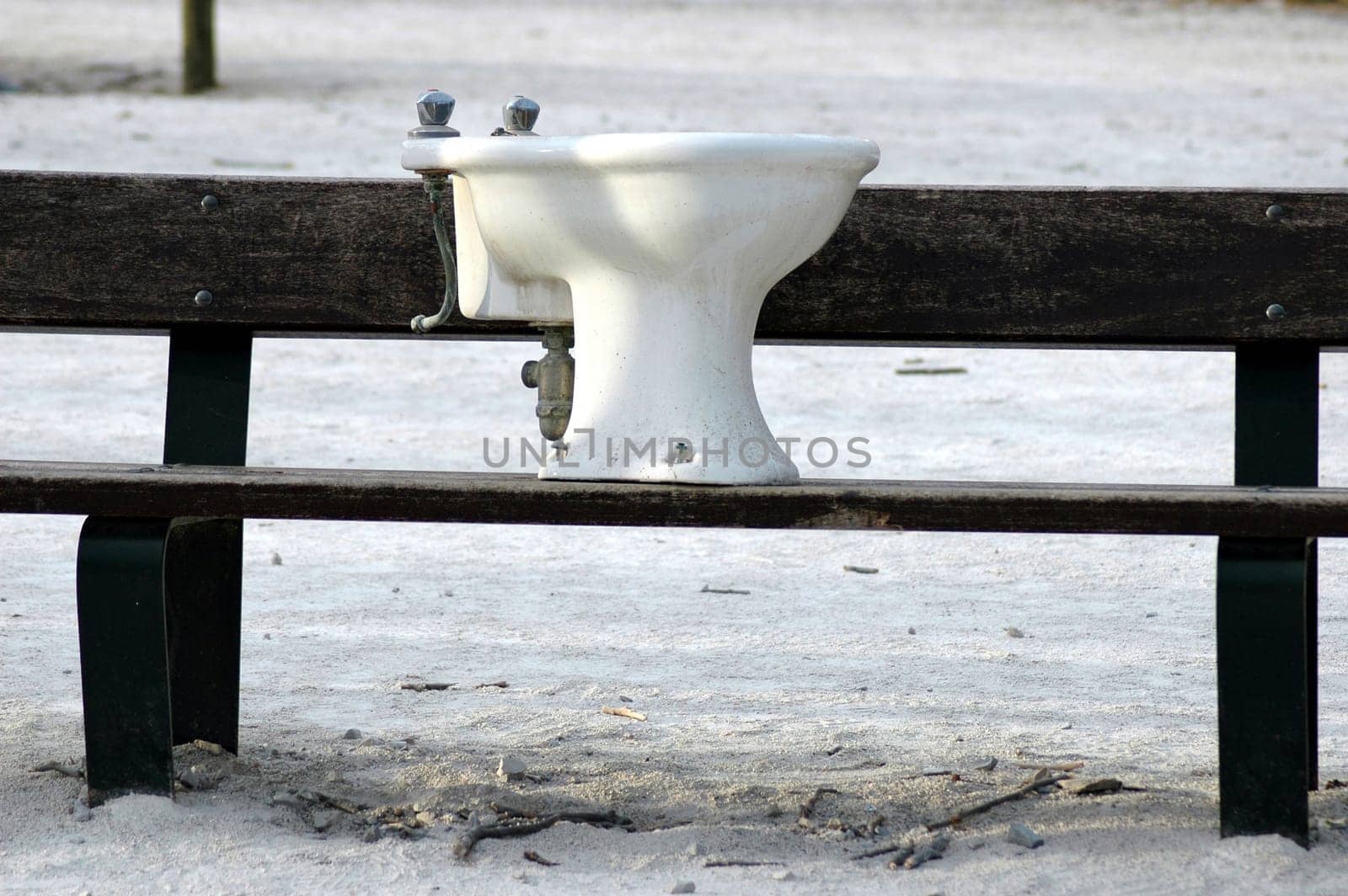 Two students dragged the toilet to the park bench to take a series of photos. I thought the idea was funny...