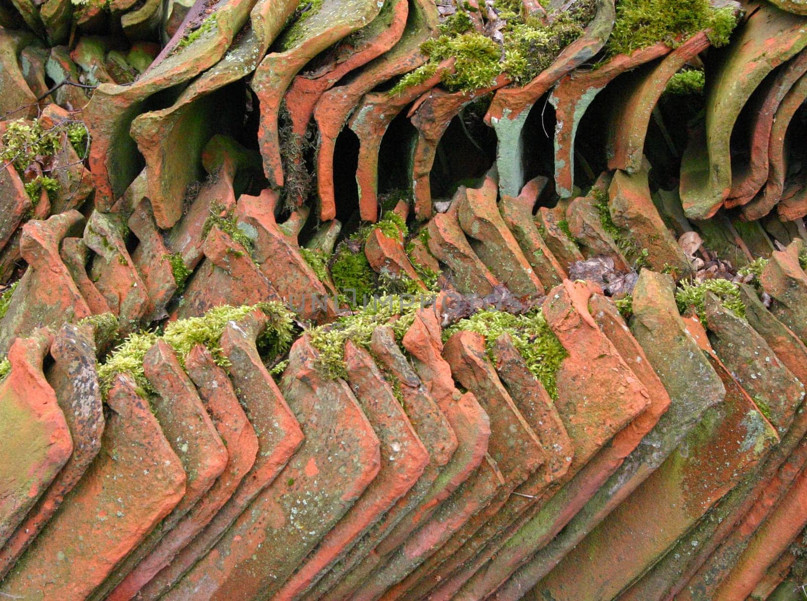 Seen during a walk through the open-air museum