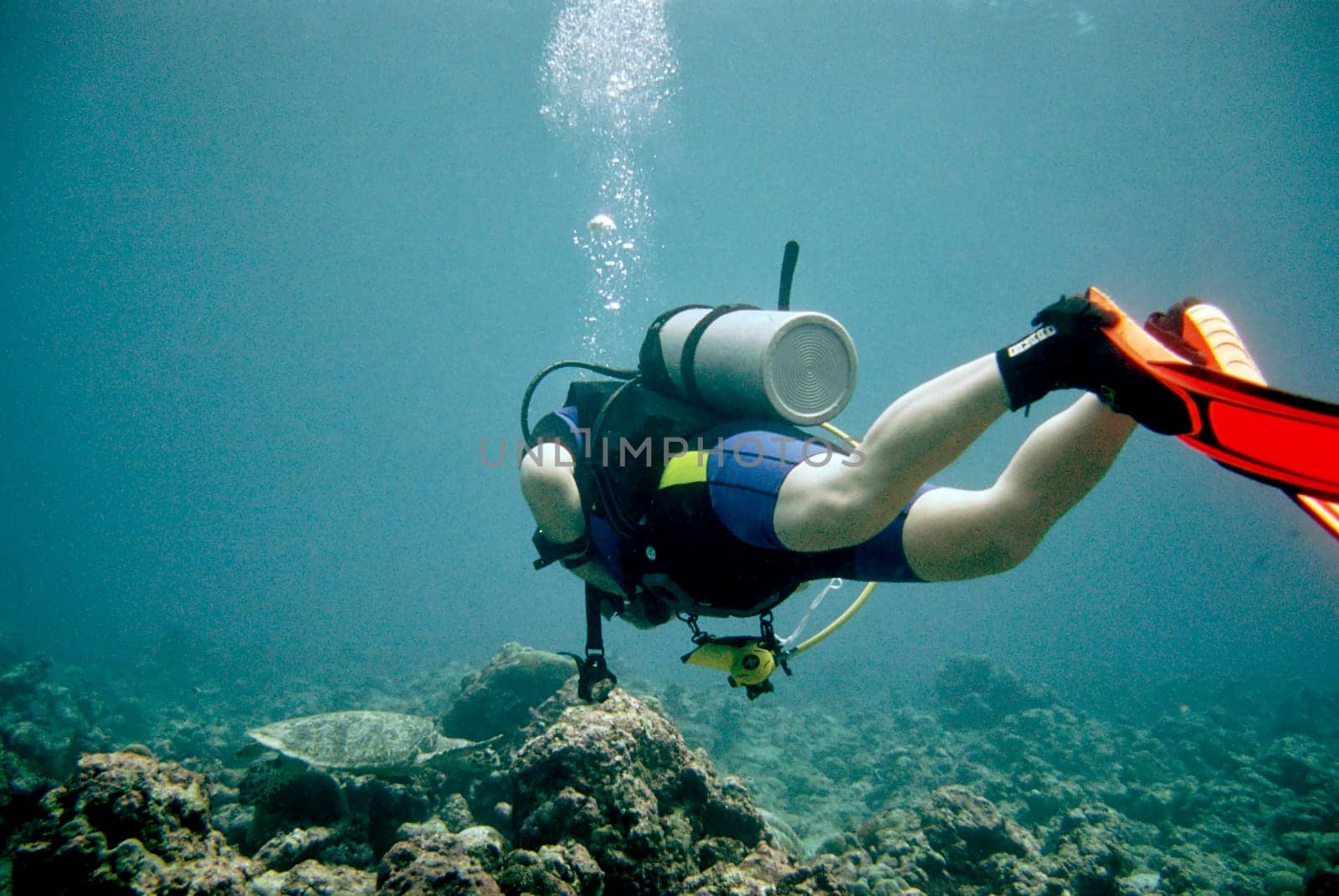 Diver meets Schildi