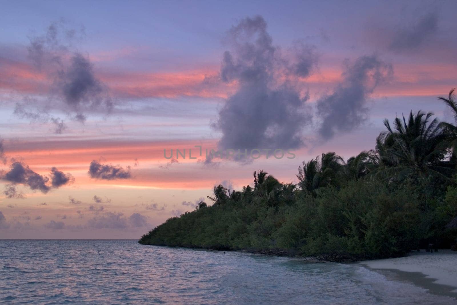 Dusk VIII