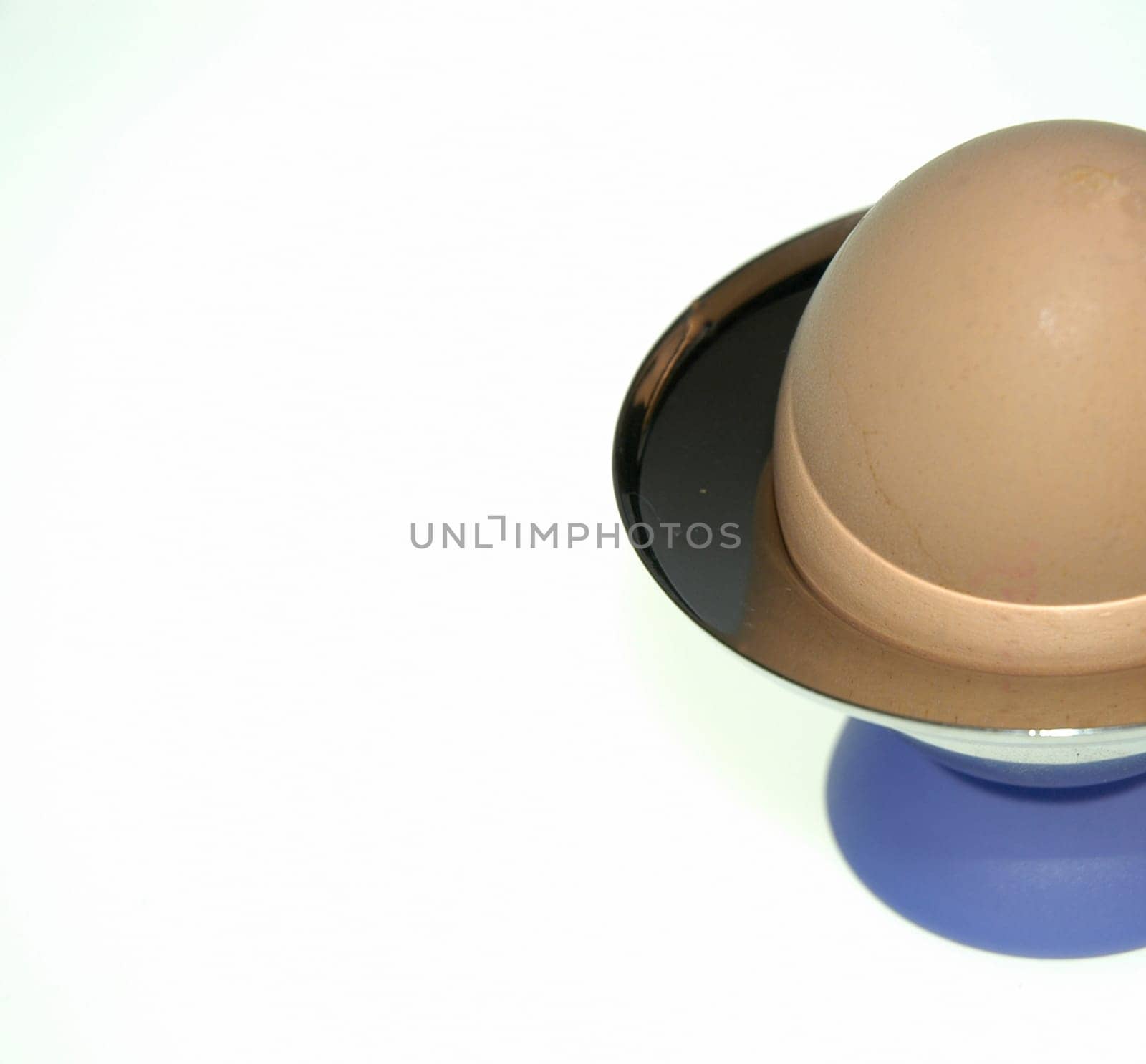 egg