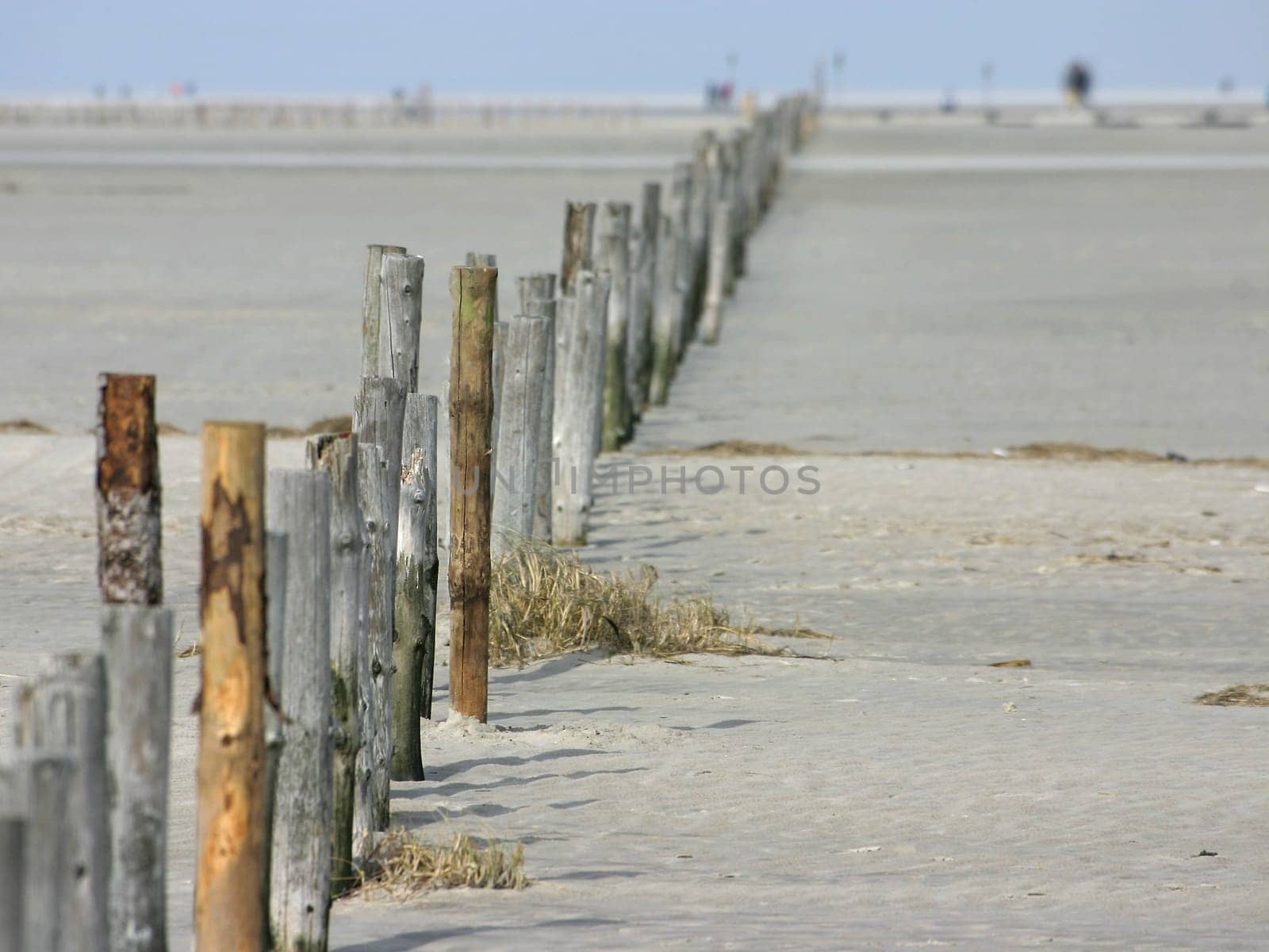 beach poles