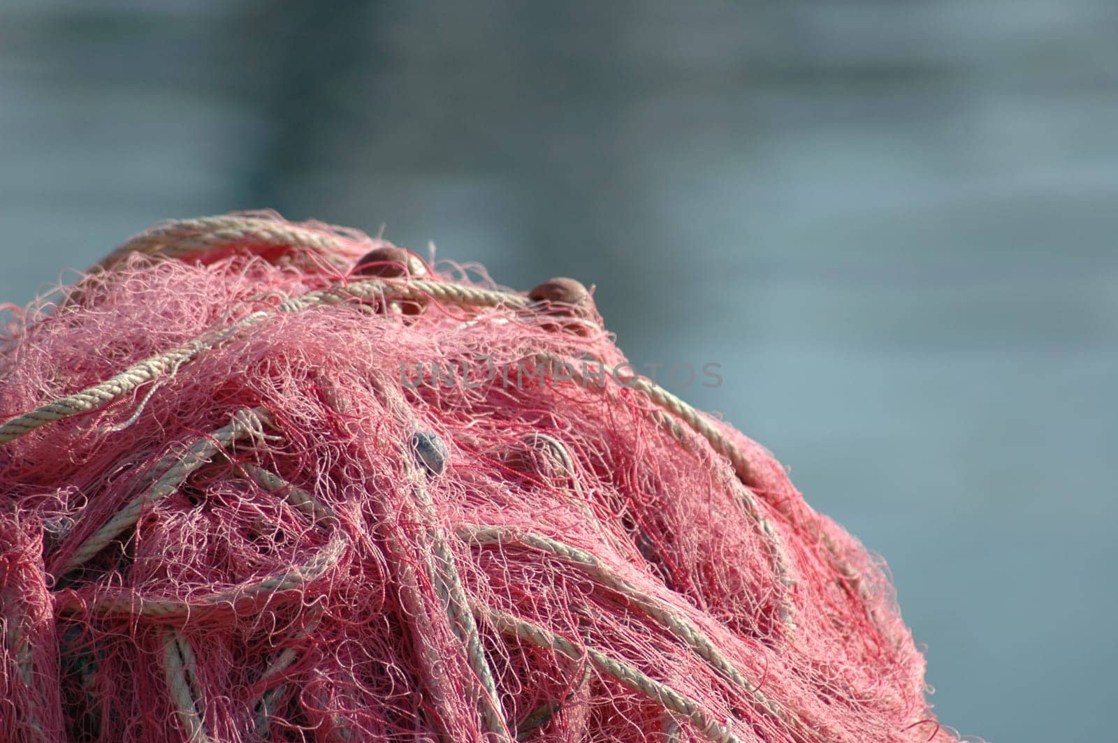 Fishing net