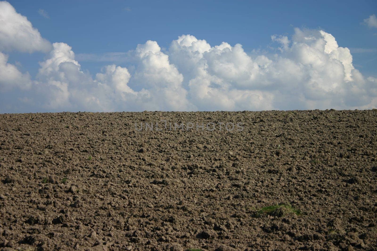 Field Heaven