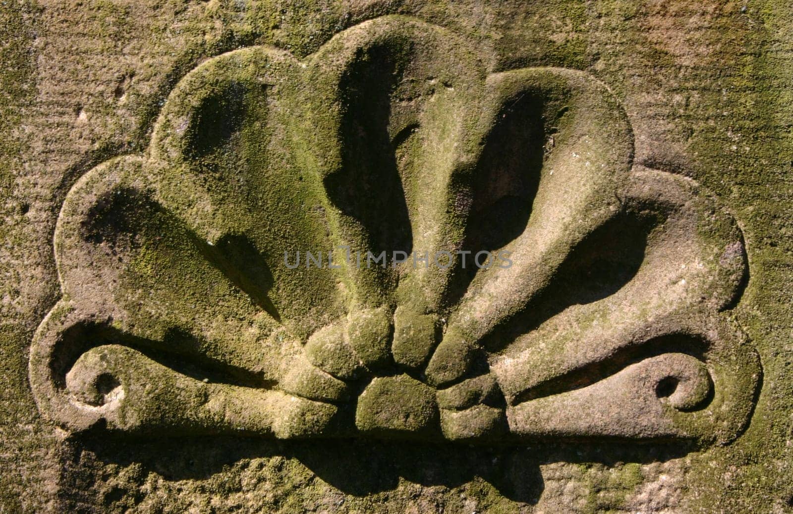 Carved in stone...