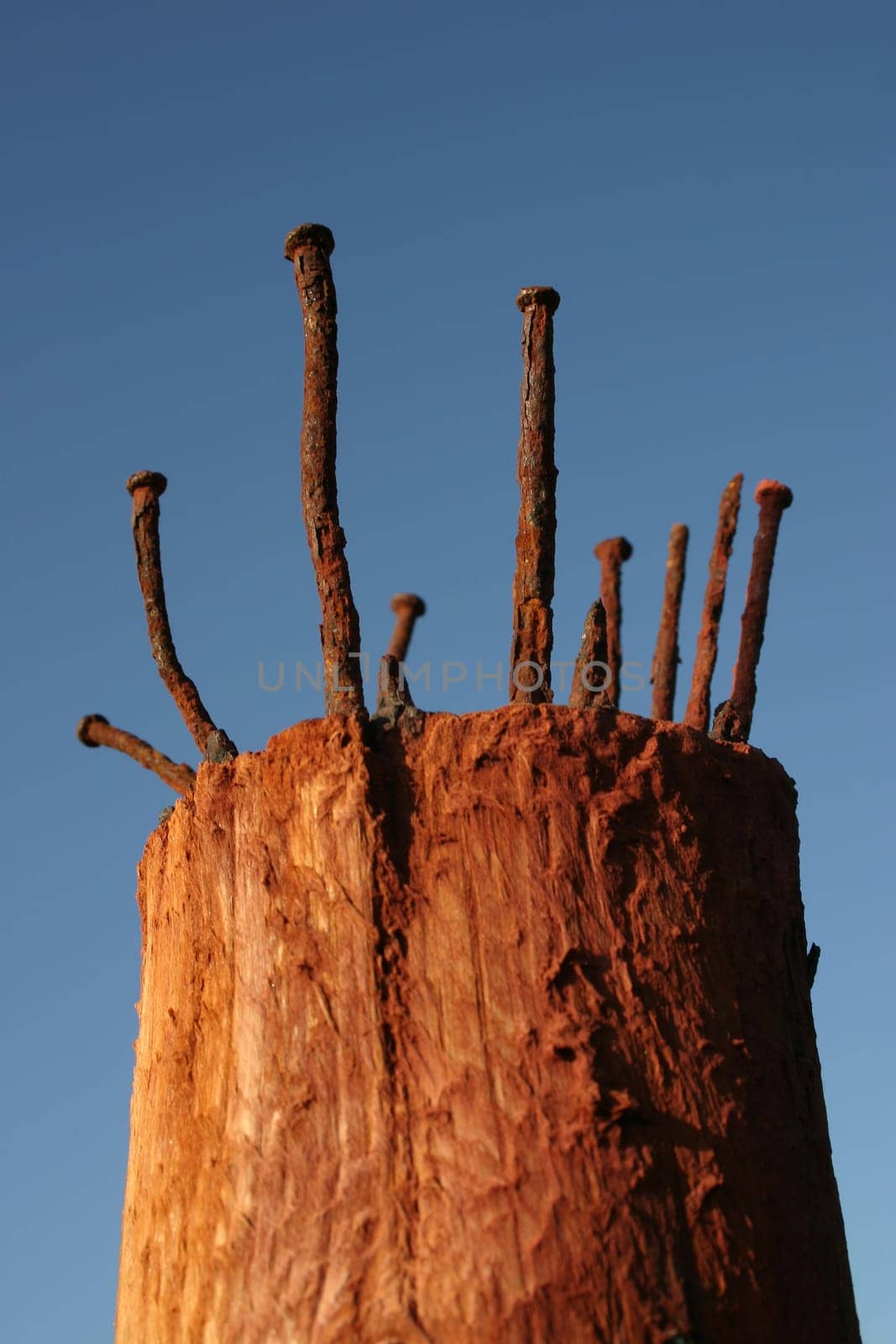 Rust nails in blue