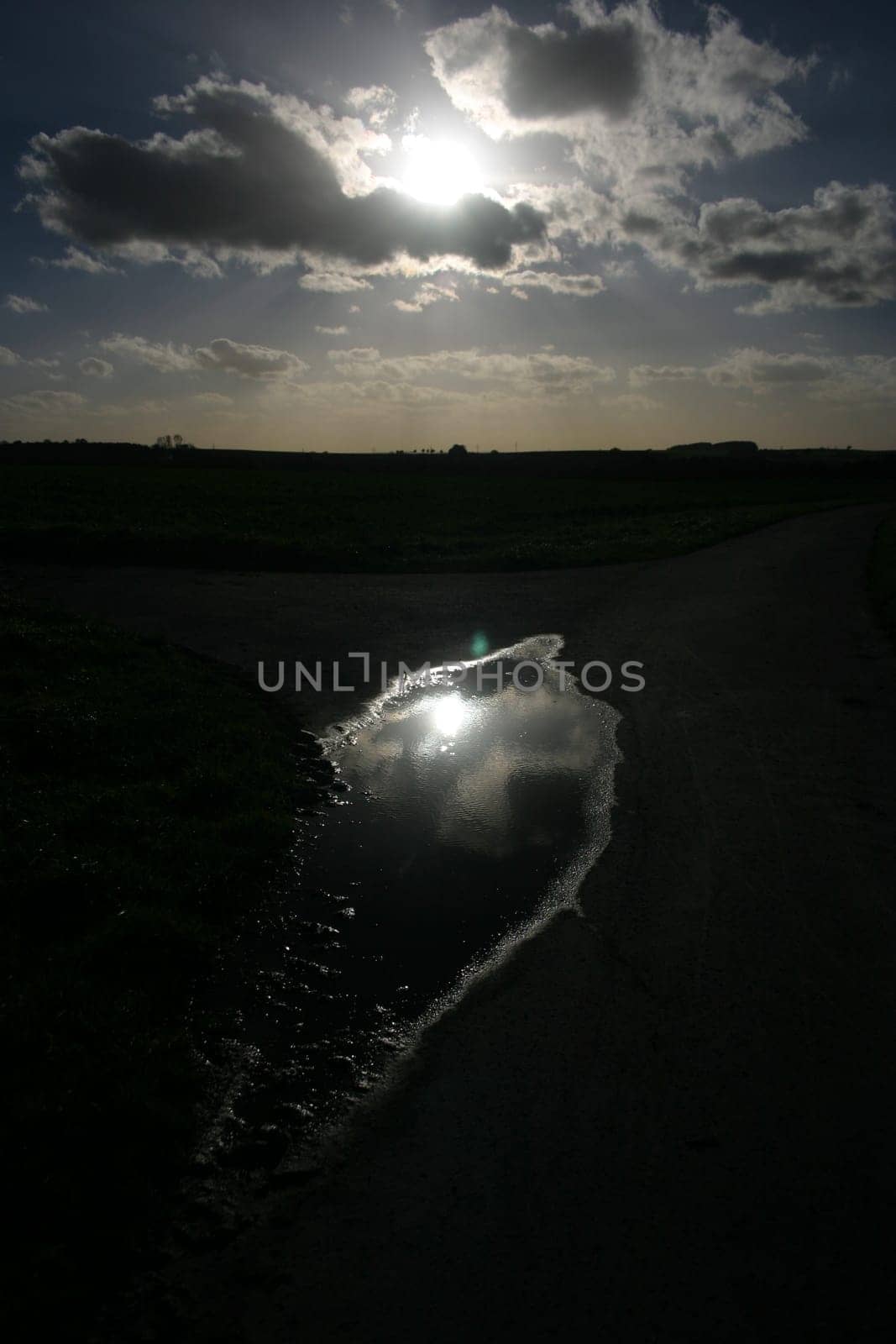 Puddle Mirror