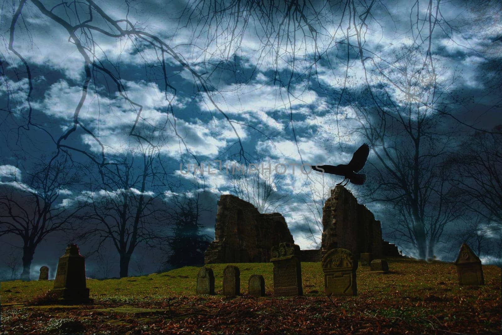 I put this photo here just for fun,at the request of Maurice,with a crow.