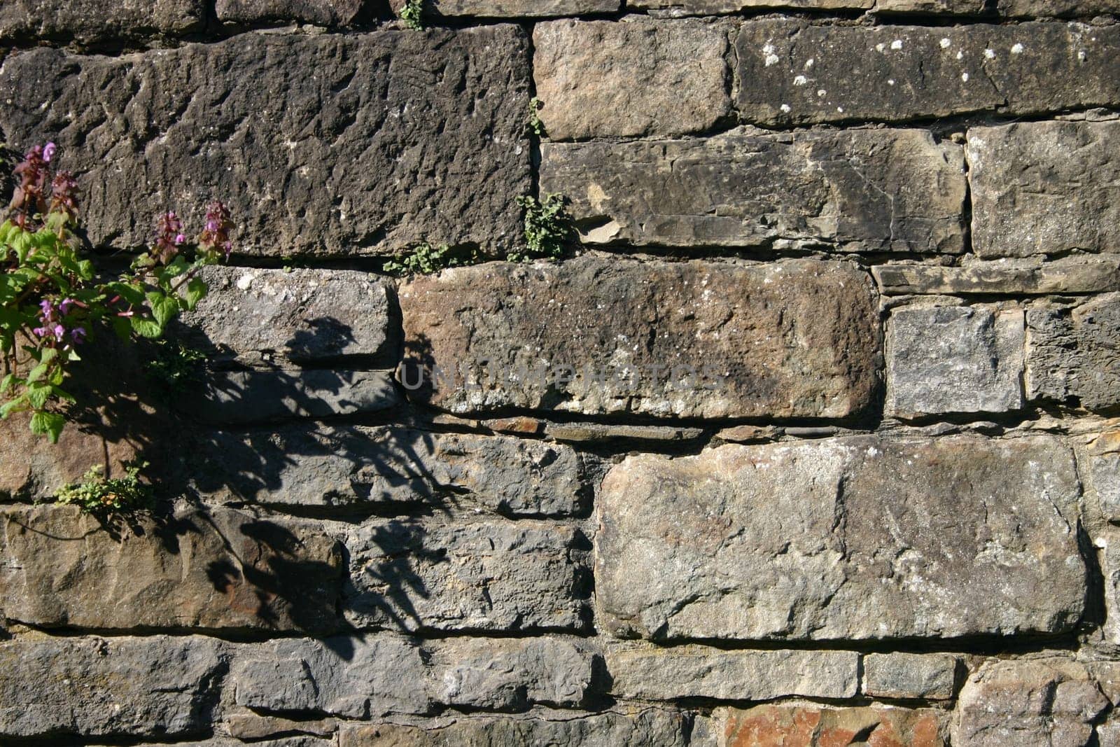 Quarry stone wall