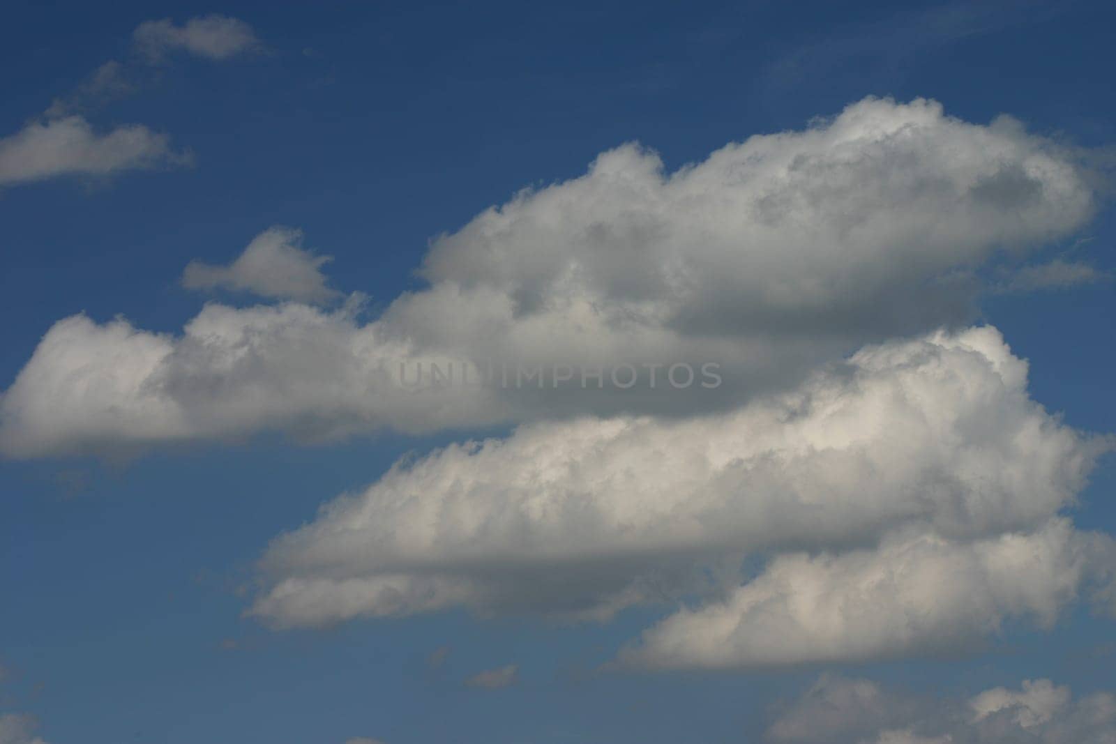 Fair-weather clouds
