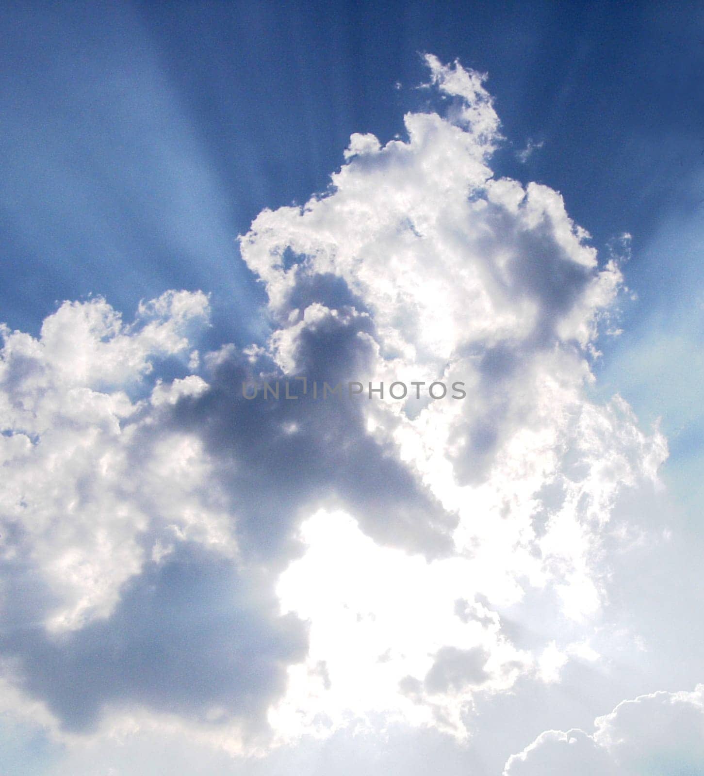 Last rays of sunshine in the afternoon.