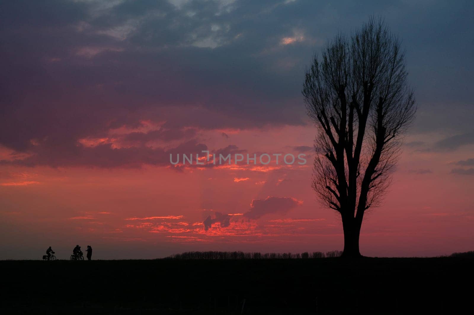 Taken during an evening walk along the Rhine in Düsseldorf.
