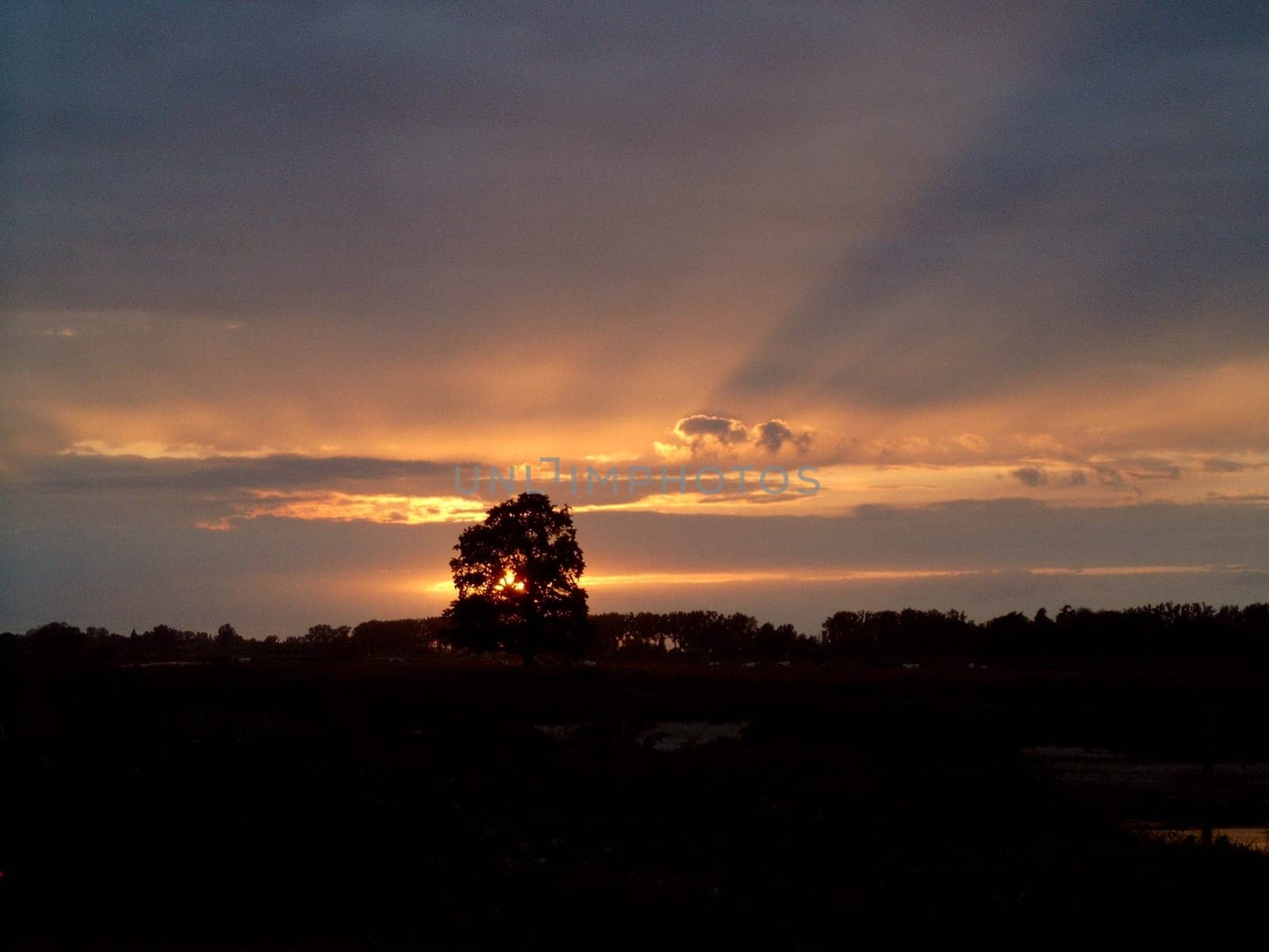 Sunset on the Aller