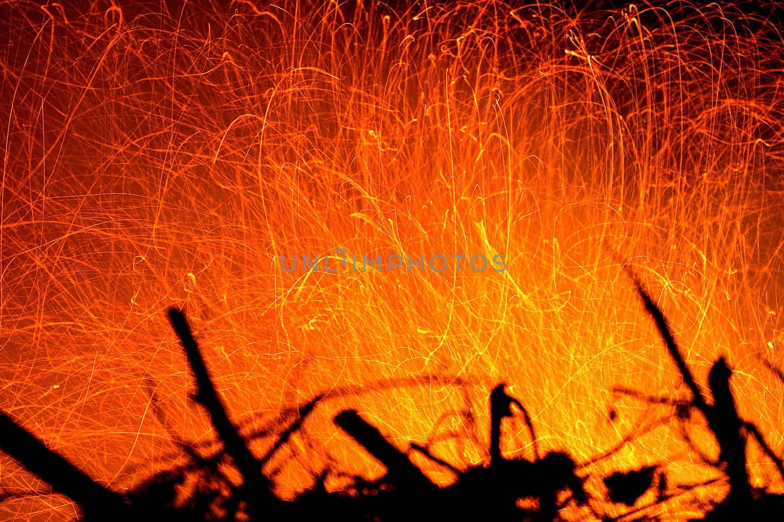 Feuer's work