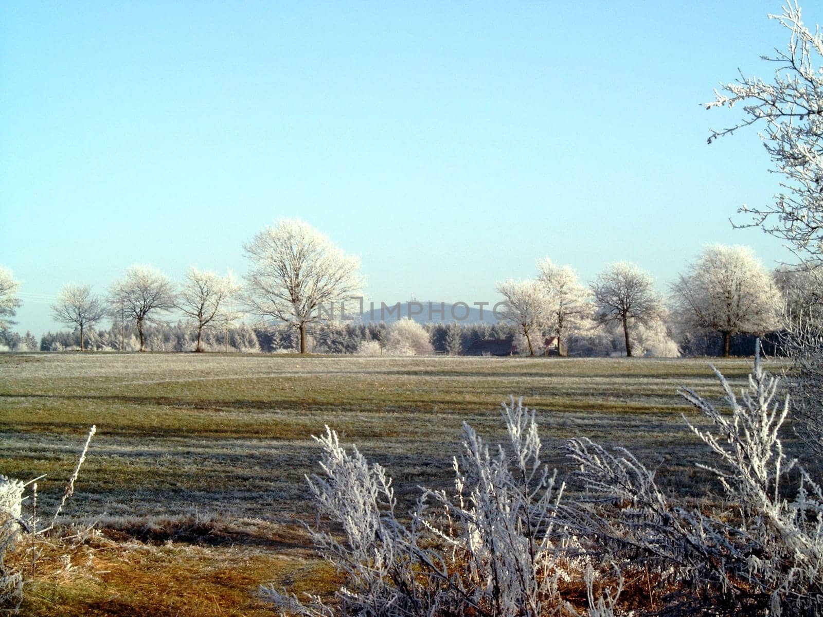 Hoarfrost in the Harz Mountains