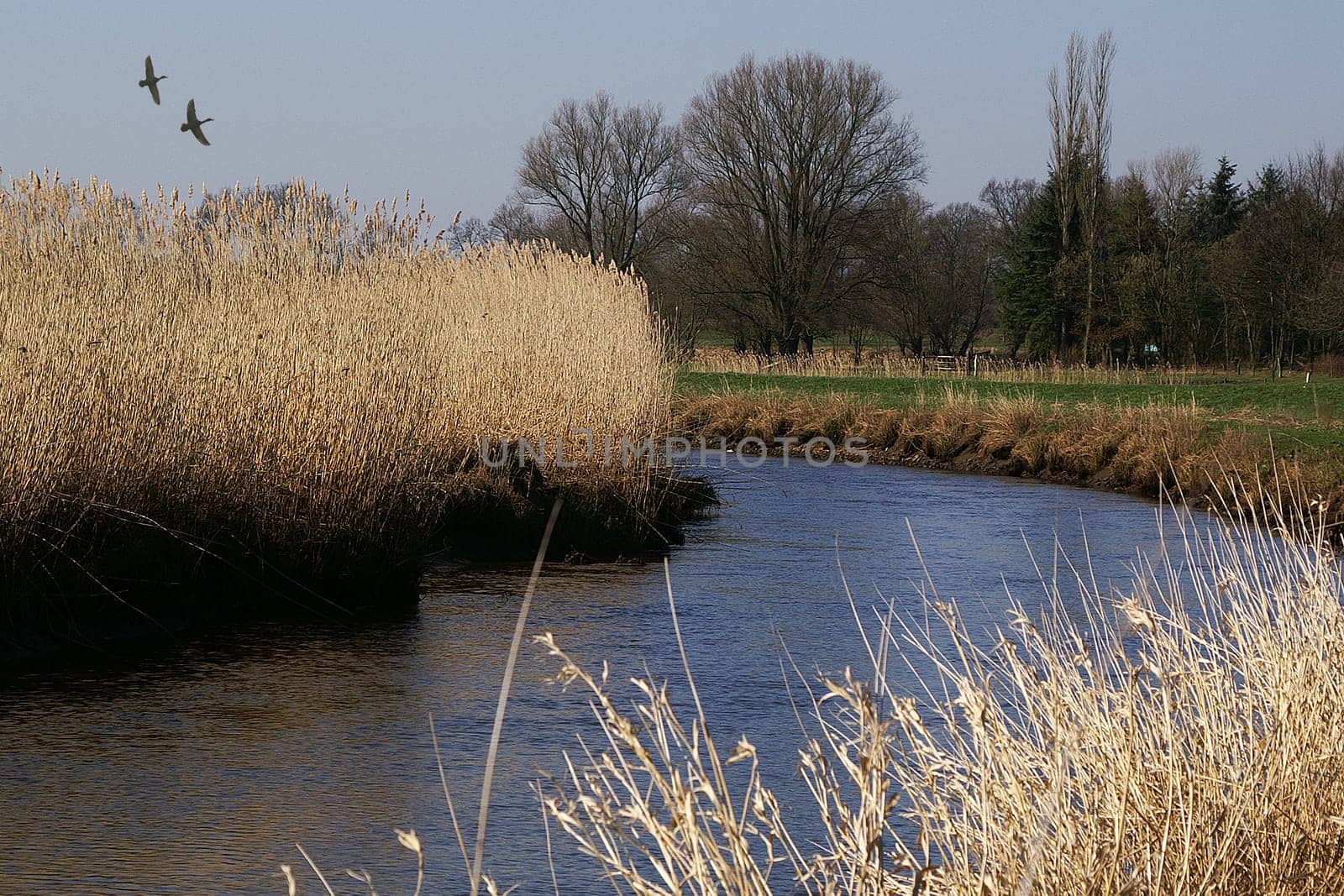 River landscape