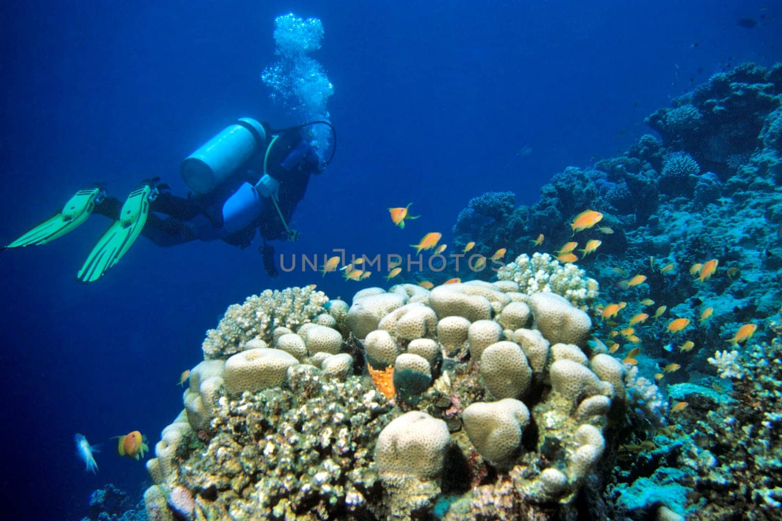 float on the reef