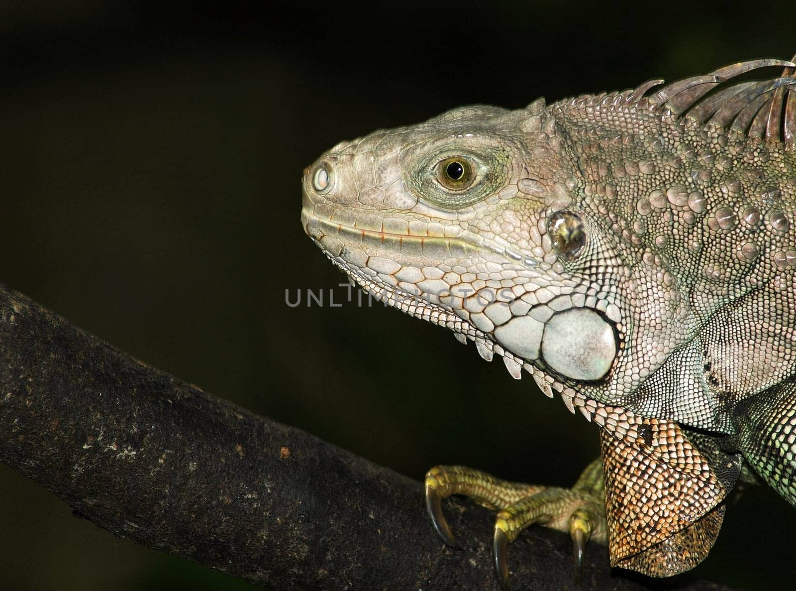 Since it was very dark,I had to shoot with flash. Focal length240mm,aperture f8,Bel.1/125
