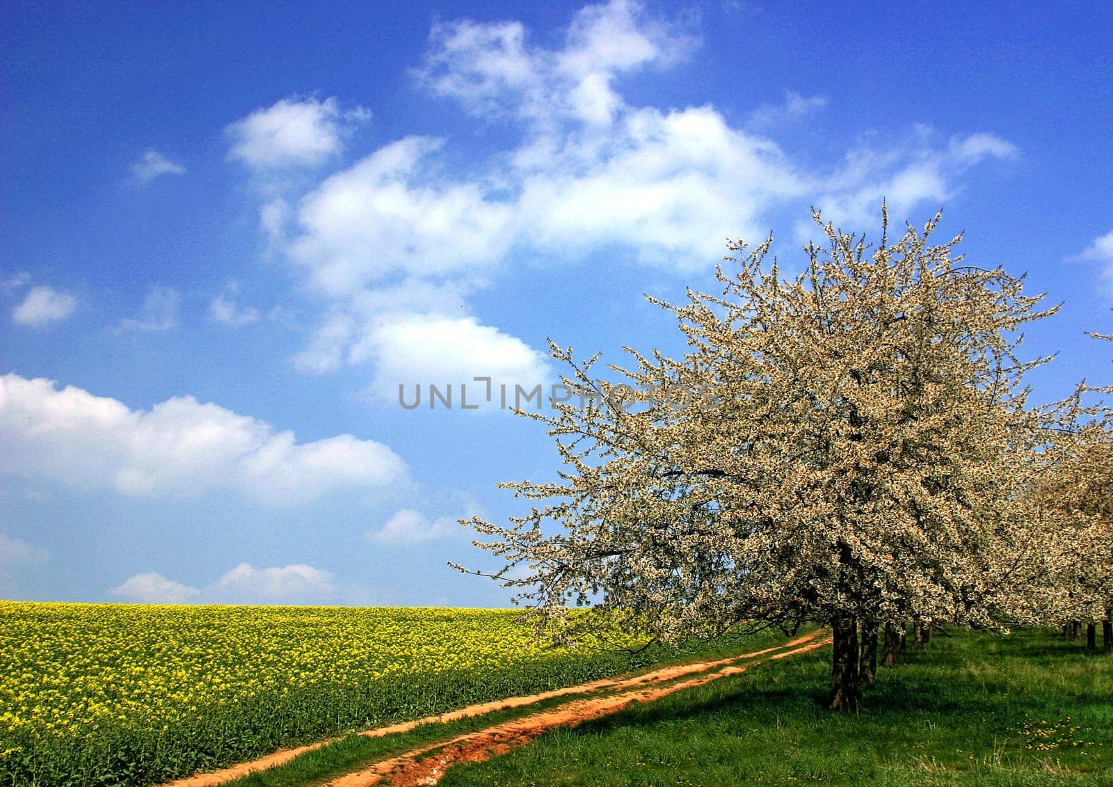 photographed with the polarizing filter