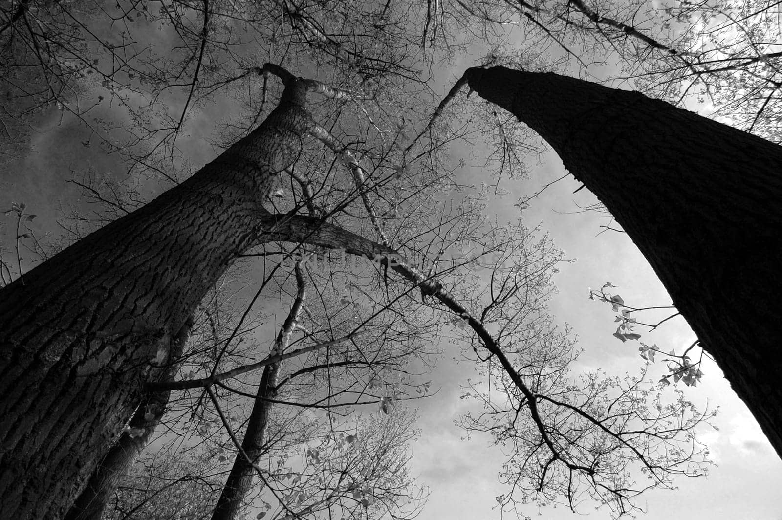 Created in April 2005. Nikon D70,Tokina 12-24.